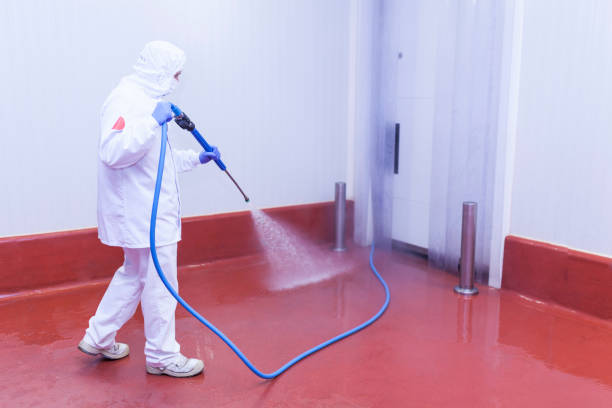Best Playground Equipment Cleaning  in Oral City, FL