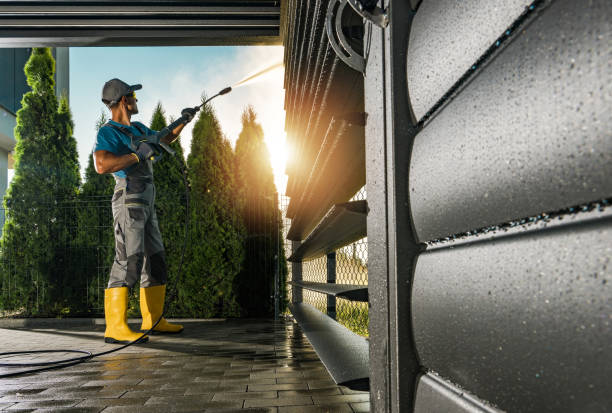 Best Graffiti Removal  in Oral City, FL